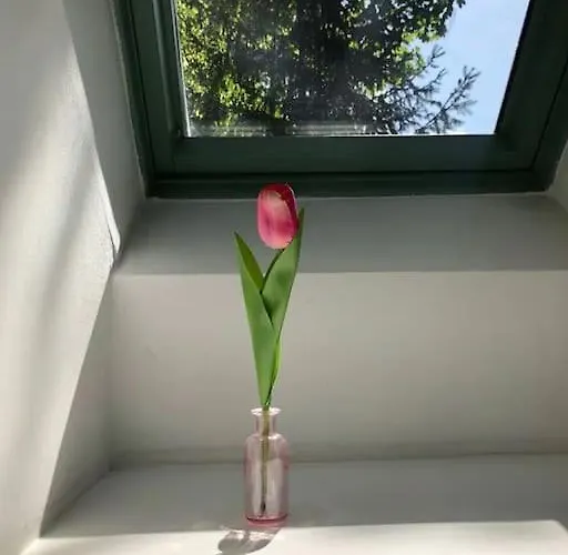 Dom wakacyjny Am Wasser - Citynah Berlin